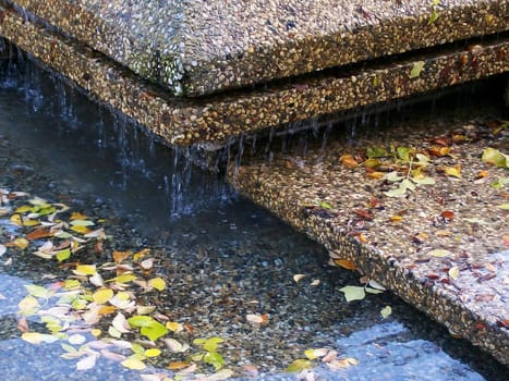 Autumn leaves gather in a fountain early in the season.