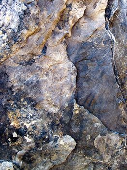 Stone macro detail with defined layers and color.