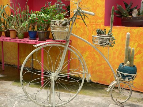 vintage penny-farthing bicycle
