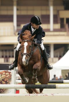The sportsman on a brown horse jump through an obstacle. The championship of Russia 2006