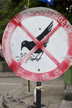 A somewhat special sign outside a Buddhist temple in Georgetown, Malaysia. 