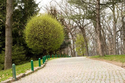 The road for walks in park is paved by a square stone