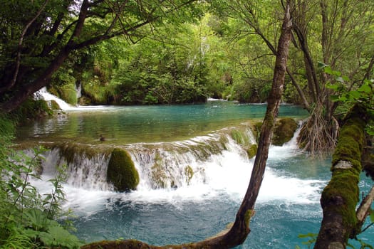 Little waterfall on Plitvice lakes in Croatia