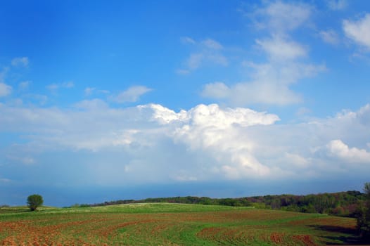 Farm field and large blue sky with Cumulous clouds.