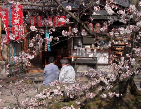 Two old people talking on a bench in a beautiful spring day.          