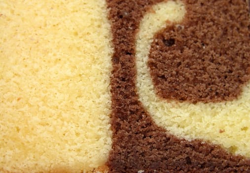 Extreme close-up of a piece of dry cake,useful background or texture.          