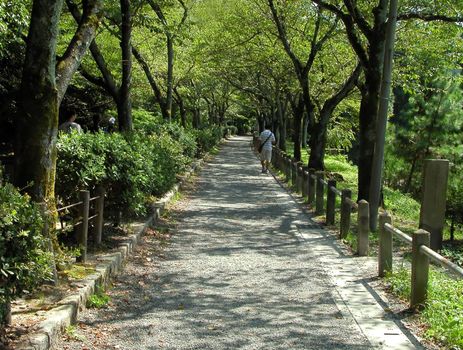 A very important landmark from traditional Kyoto,Japan:"Philosopher's path"-summer aspect.          