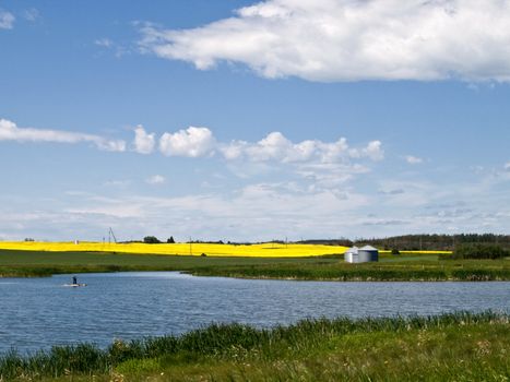 Fishing pond near a canola farm in rural Alberta.