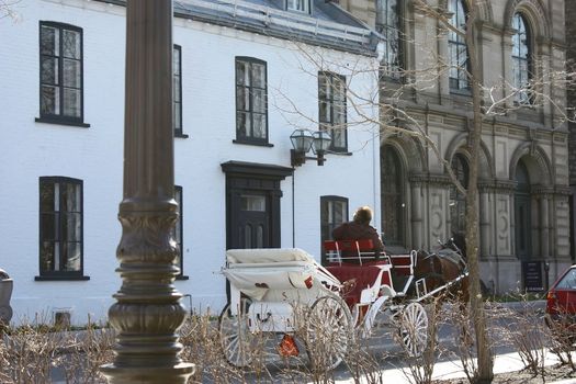 a carriage horse and cabman in historic district