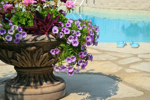 Poolside with beautiful colored flowers