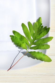 Table napkin and green fern on wooden table