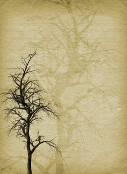 Old gnarly tree on grunge style background