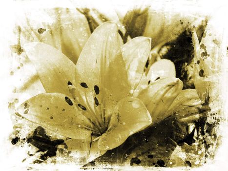 Background of lillies on grunge