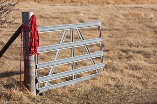 Gate open to horse field, red rope draped on gate hinge, evening sun, shallow depth of focus