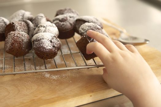 A child's hand takes a fresh cupcake from the cooling rack. Shallow focus, motion blur on fingers.