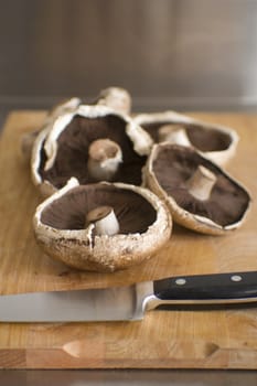 Still life - mushrooms on chopping board close up with knife in foreground. Shallow focus