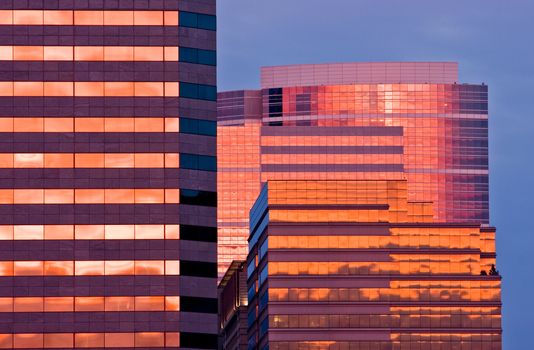 High rise buildings at sunrise, reflections empahsize structure and organization
