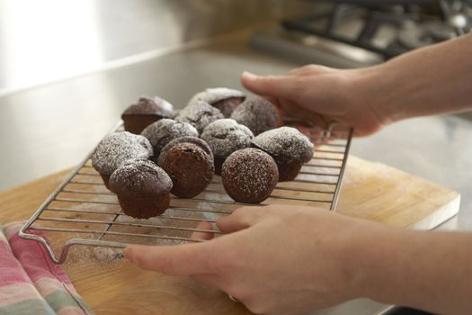 Chocloate cupcakes, freshly baked on a cooling rack held by female hands