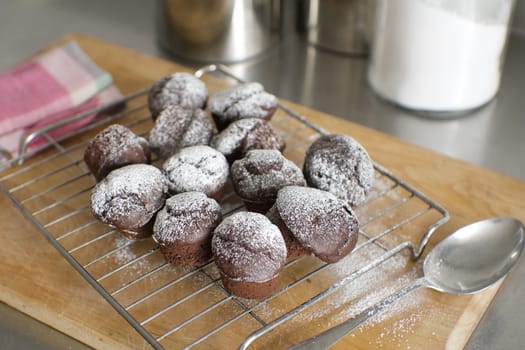 Chocolate cupcakes lightly dusted with sugar cool on a rack in modern kitchen