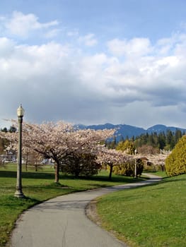 Spring in Vancouver, Canada