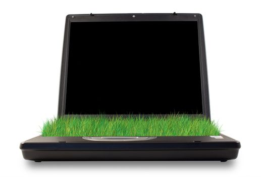 Computer with grass in the place of keyboard 
