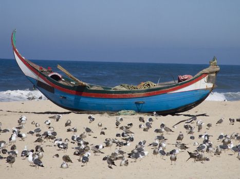 Fisherman boat waiting to go to the sea. Lots of seaguls in the sand