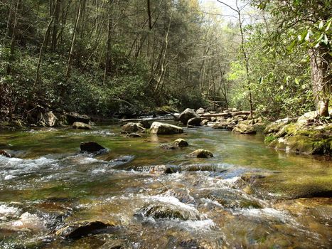 A fast moving creek in rural North Carolina