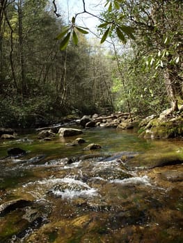 A small fast moving creek in rural North Carolina