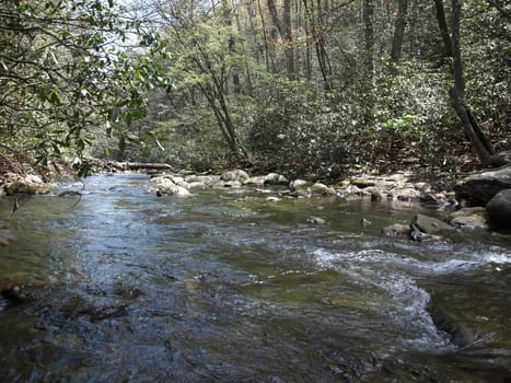 A fast moving river in rural North Carolina