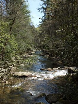 A stream in the spring of the year in rural North Carolina