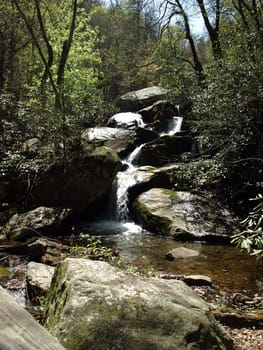 A fast flowing stream in rural North Carolina