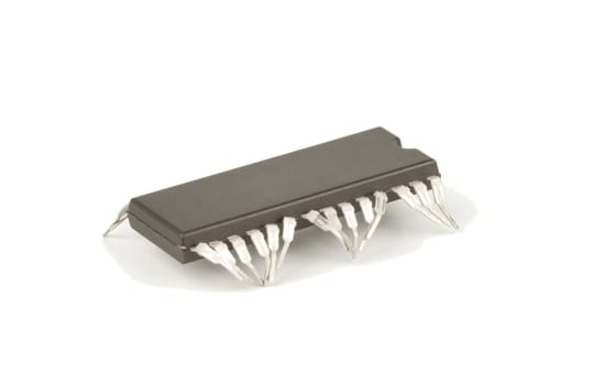 technology isolated computer electronic chip on white background with its pins as legs of a live worm