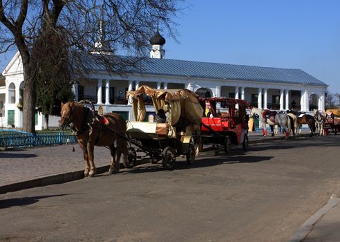 horse, stallion, mare, vehicle, carriage, walk, racer, center, cities, road, trading, number, transport, spring, genre, landscape, riding, driving