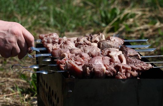 shish, kebab, meat, fat, meal, food, pork, hand, skewer, brazier, coal, spice, picnic, background, crude, spicy, high, calorie, skewers, coals