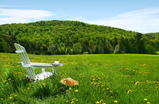 White adirondack chair in a field of tall grass on a sunny day 
