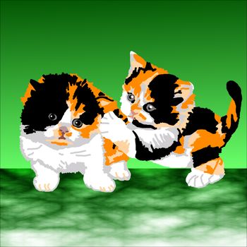 Two Persian Calico kittens playing tag on a green background.