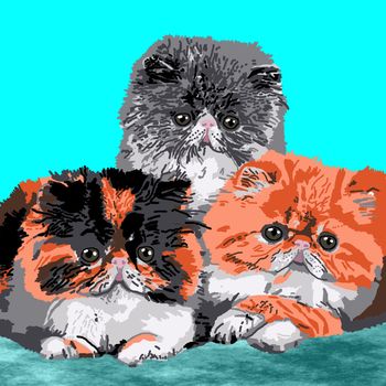 Three Persian kittens resting on a blue carpet.