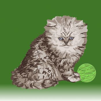 Gray Persian kitten sitting beside a ball of green yarn.