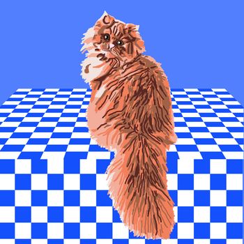 Orange Persian cat sitting on a blue and white checkered tablecloth.