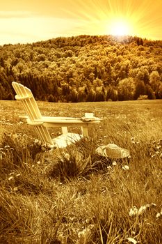 Relaxing on a summer chair in a field of tall grass on a sunny day