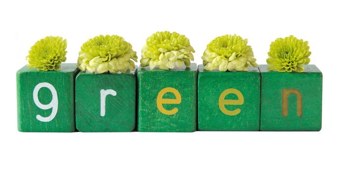 the word 'green' with pale green chrysanthemums on top, isolated on white