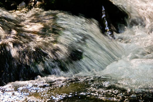  Mountain Brook, photo taken on 31.05.2008 in the Beskid Sadeckim / Poland 