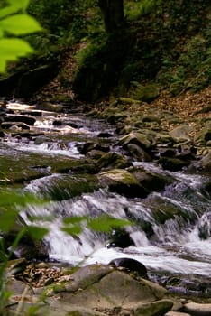  Mountain Brook, photo taken on 31.05.2008 in the Beskid Sadeckim / Poland 