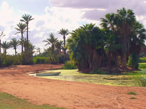 a beautiful mix of desert, water and trees