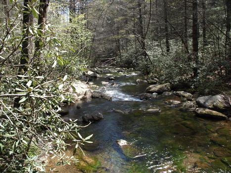Jacobs Fork River in the spring of the year. The river is located in North Carolina.