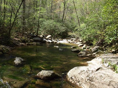 Jacobs Fork River in the spring of the year. The river is located in North Carolina.