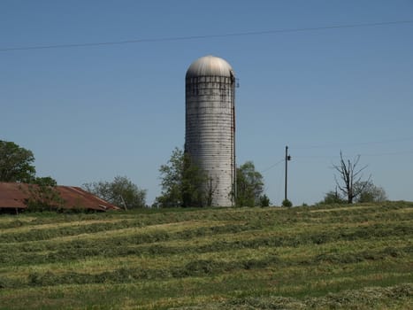 A tall farm silo in rural North Carolina