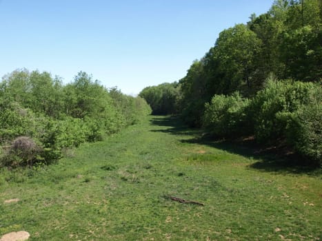 A long flat meadow in rural north carolina