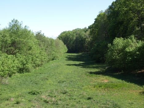 A narrow meadow in rural North Carolina
