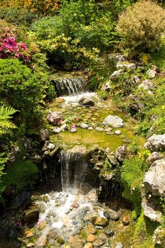 A traditional Japanese garden in California.